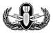 Basic Badge Gray.jpg